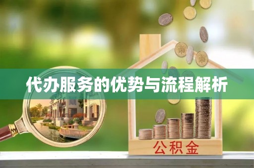 绥阳代办服务的优势与流程解析