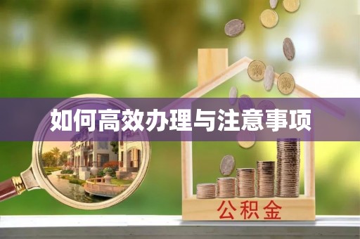 绥阳如何高效办理与注意事项