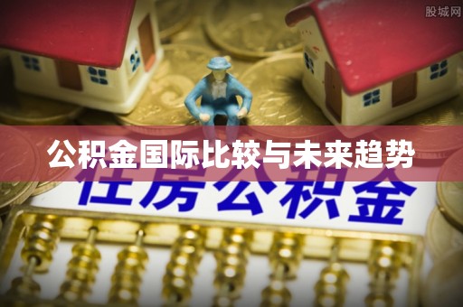 绥阳公积金国际比较与未来趋势