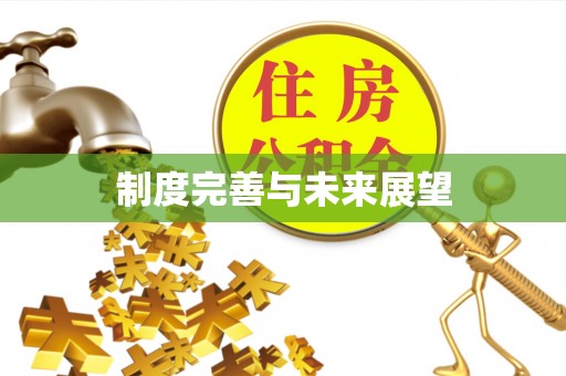 绥阳制度完善与未来展望