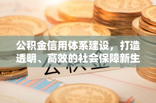 绥阳公积金信用体系建设，打造透明、高效的社会保障新生态