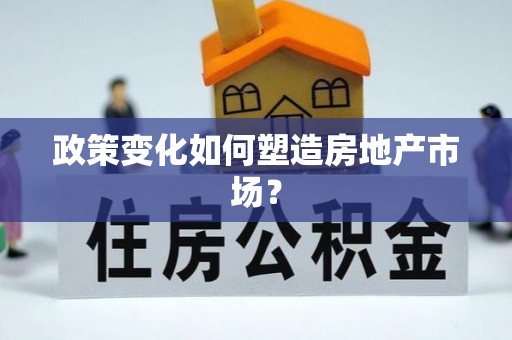 绥阳政策变化如何塑造房地产市场？