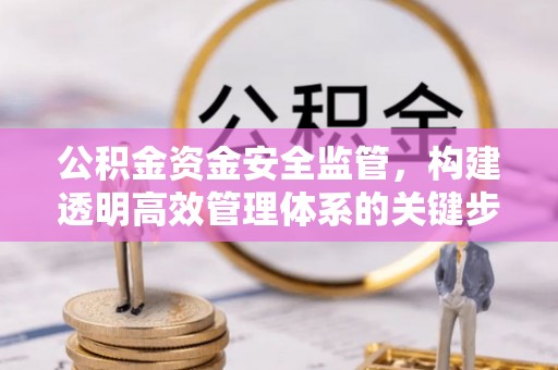 绥阳公积金资金安全监管，构建透明高效管理体系的关键步骤