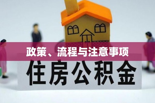 绥阳政策、流程与注意事项