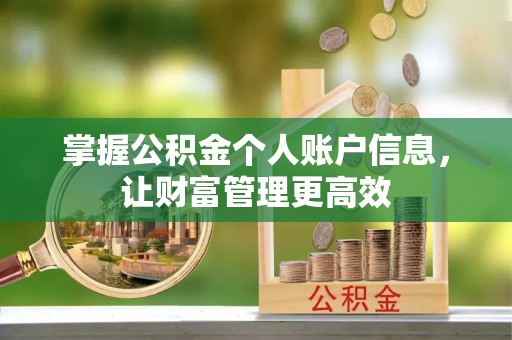 绥阳掌握公积金个人账户信息，让财富管理更高效