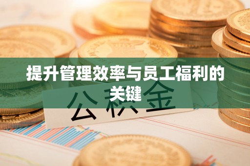 绥阳提升管理效率与员工福利的关键