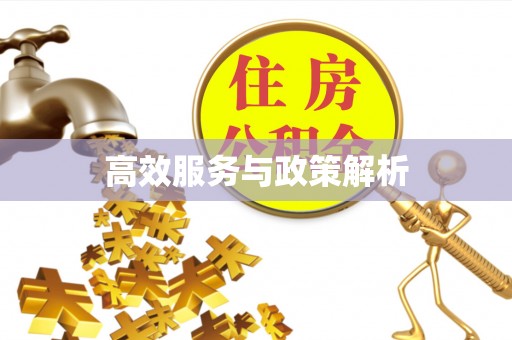 绥阳高效服务与政策解析