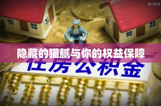 绥阳隐藏的猫腻与你的权益保障
