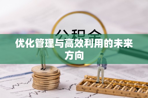 绥阳优化管理与高效利用的未来方向