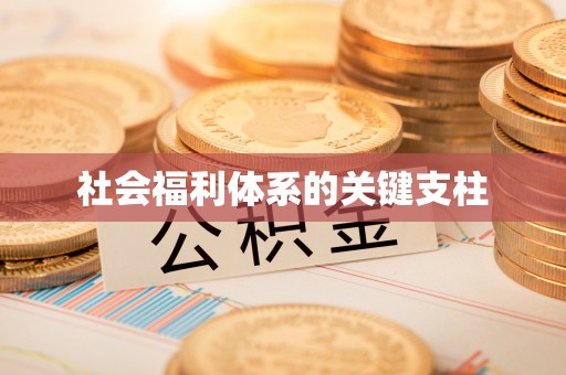 绥阳社会福利体系的关键支柱