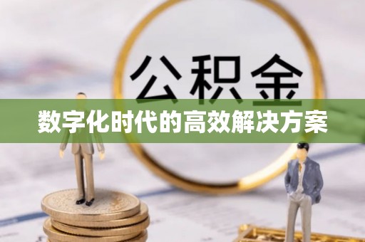 绥阳数字化时代的高效解决方案