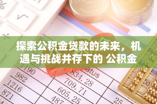 绥阳探索公积金贷款的未来，机遇与挑战并存下的 公积金贷款风险防控