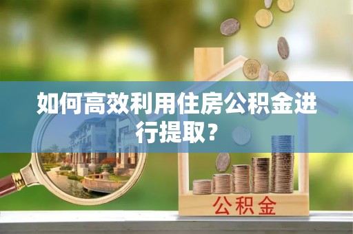 绥阳如何高效利用住房公积金进行提取？