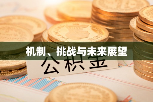 绥阳机制、挑战与未来展望